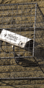 WEC Category Image Brackets & Accessories